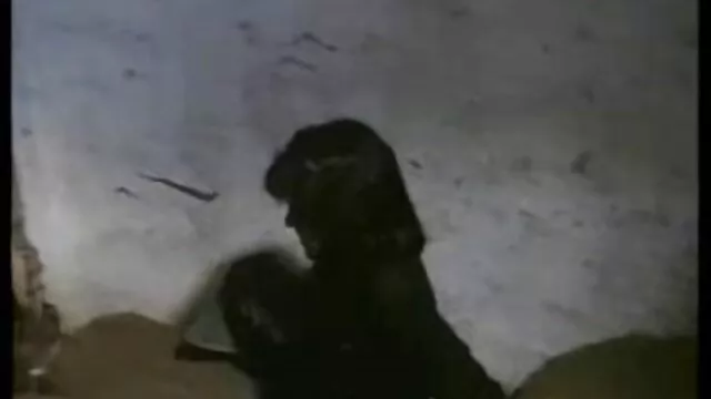 פורנו ללא רישום  בנות בשמחה להחליף את כל החורים בחבר התחתון של טלוויזיה בכבלים של רוסיה פורנו ישראלי חינם