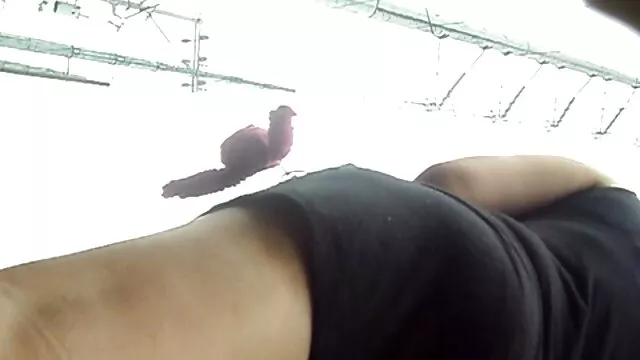 פורנו ללא רישום  שתי זונות סקקס ישראלי אנאלי ליהנות אדם מלא תשוקה