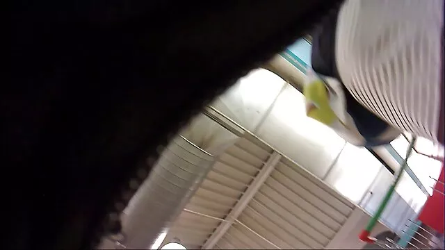 פורנו ללא רישום  שתלתי את הכלבה שהיא ישראל סקס צאט חוותה על הביצה.