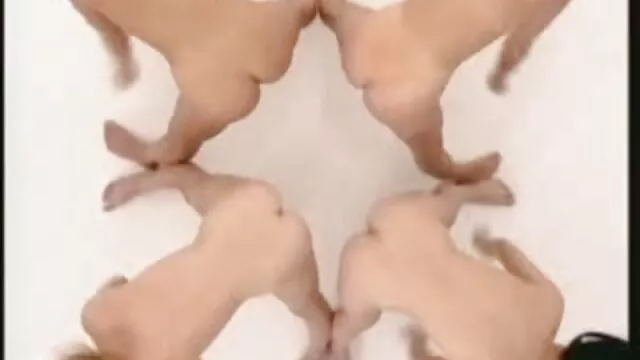 פורנו ללא רישום  גברים פןרנו ישראלי מבוגרים משתמשים באשת חברה צעירה.